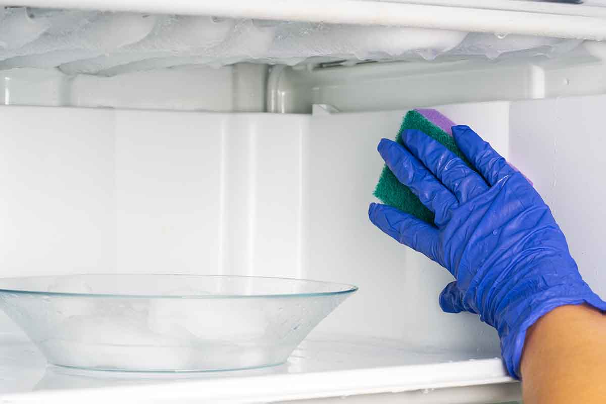 правильно разморозить холодильник